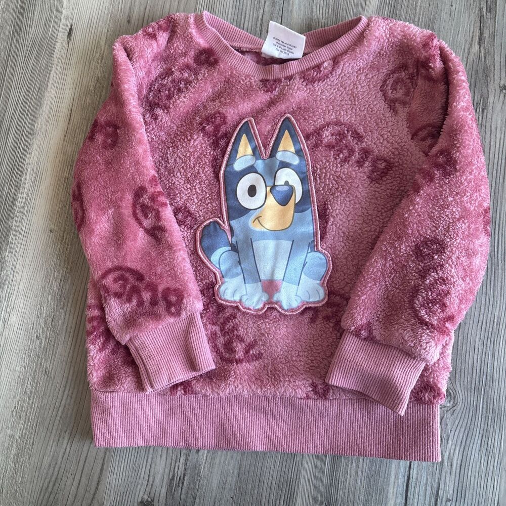 Bluey Fleece Sweatshirt For Toddler Size 3
